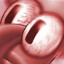Avatar of Squidward Triggered
