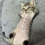 САНЯ БЛЕКВУД