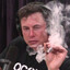 elon mvsk