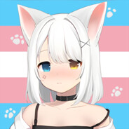 HYW C. FusYSNa [Bot]