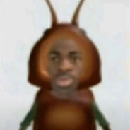 范小勤的屎壳郎