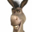 DONKEY