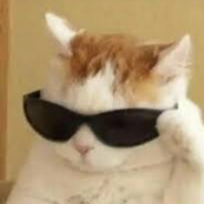 МЕГА ДЕВСТВЕННИК