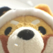 少玩手机好不好