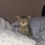 U CAN&#039;T SEE MEEEEE