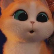 丶Alex