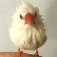 天泉分部鸟堂主（自封