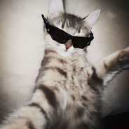 Mute - steam id 76561198100070076