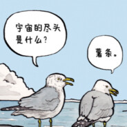 去薯条整点码头
