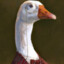 Mr.Goose