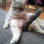 CoolFuzzyPants