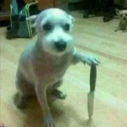 🐶🔪