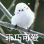 红豆DDD