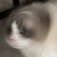 High Hand