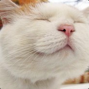 Warm man’表碧莲