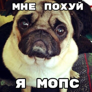 я мопс