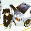 GSR
