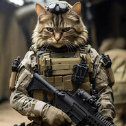 RTTK-MEOW