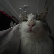 TATAR Steam avatar