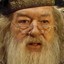 Dumbledorewizard