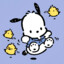 Pochacco