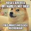 Doge