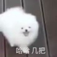 酷炫狂拽小学生