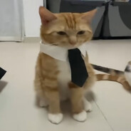 莫格瓦伊's avatar