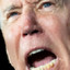 700,000 Joe Bidens