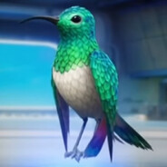 hummingbirdlover💕