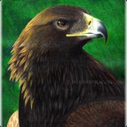 @Predator<40>Killer
