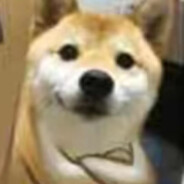 玩家头像