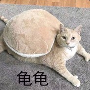 V社你服务器土豆供电的？