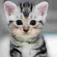 qyyauaty - steam id 76561199404910308