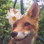 Sparklefloofiefoxie