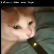 łukasz nie postukasz