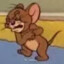 Rat