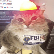 krollqqq - steam id 76561198143025402