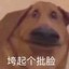 丶爺傲灬砍SnM