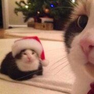 前面的区域以后再来探索吧