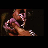 𒅒𒅒𒅒𒅒𒅒𒅒