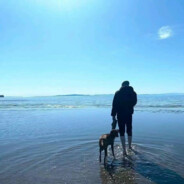 AAAAA水泥批发王哥