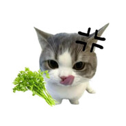 小小小小小小姨