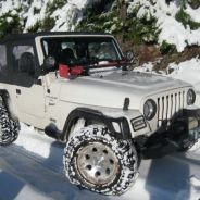 Oh Jeepers - steam id 76561197961360687