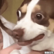 Diͥnkͣlͫbeerg ⚡