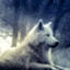 White Wolf