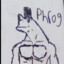 A Bunch of Frogs