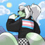 RemiTheTanuki