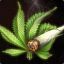iBlunts