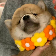 叙利亚在逃悍匪